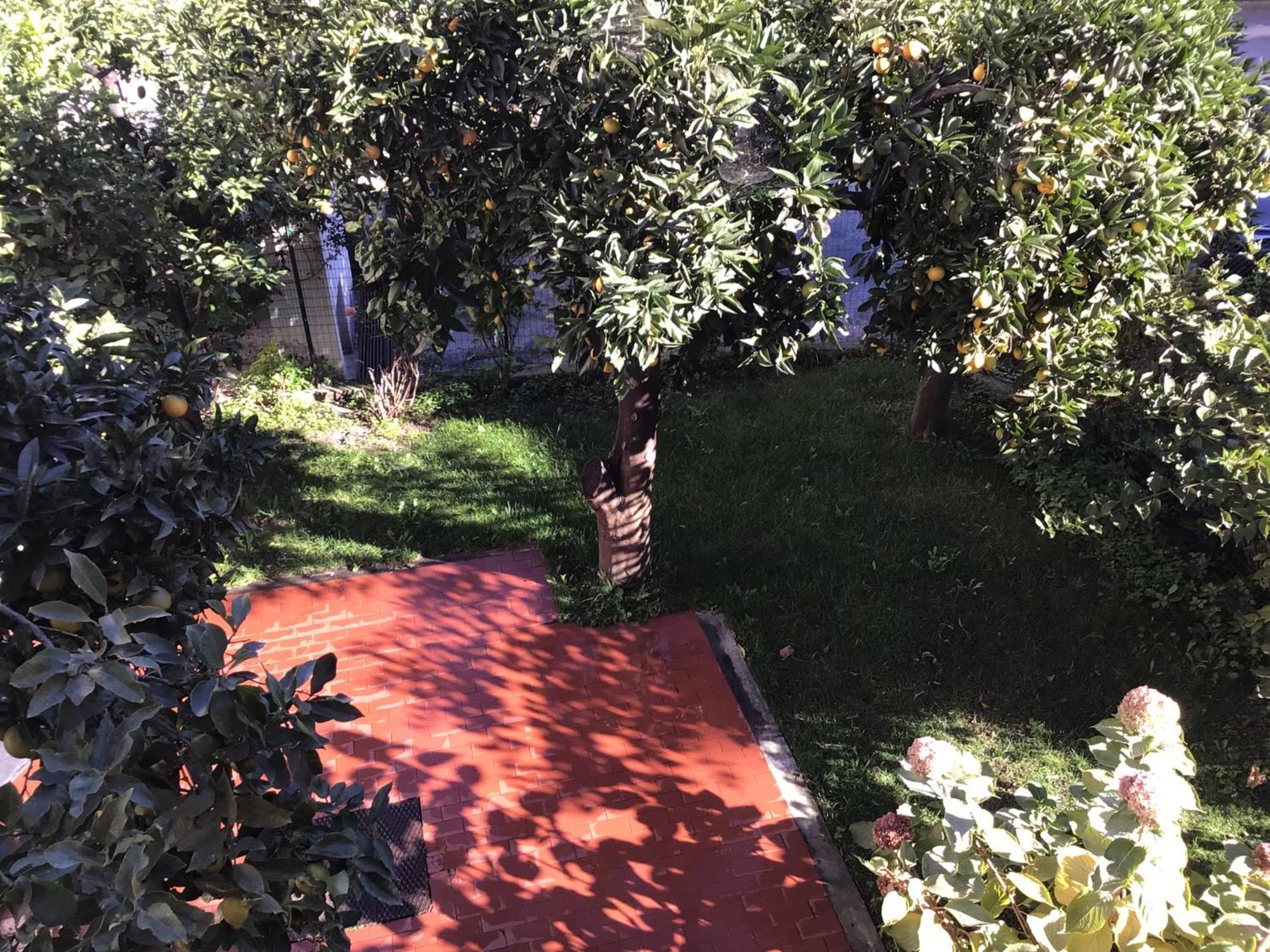 Casa Luigia Rooms Mtb In Finalborgo Bike Room Tour Ebike Trekking Finale Ligure Εξωτερικό φωτογραφία
